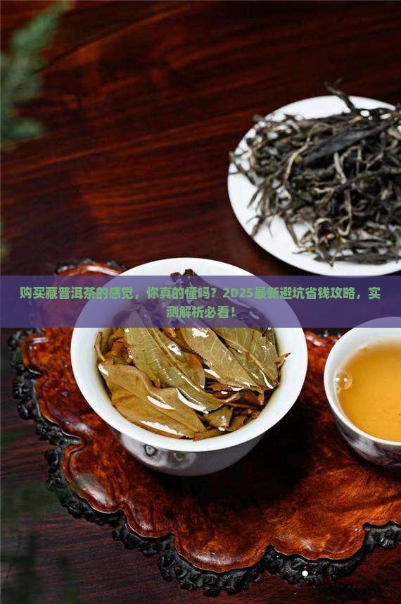 购买藏普洱茶的感觉