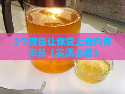 云内普洱茶品牌