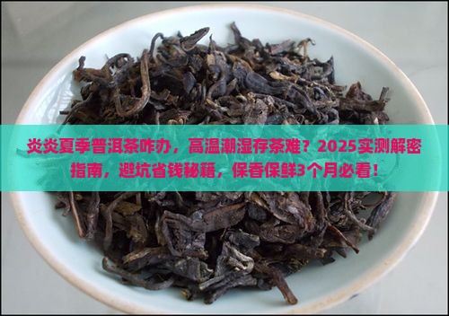 炎炎夏季普洱茶咋办