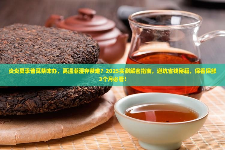 炎炎夏季普洱茶咋办