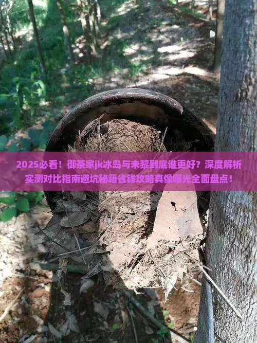 御茶家jk冰岛好看还是未黎