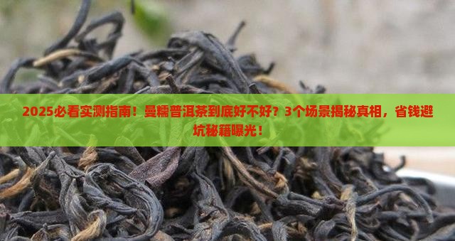 曼糯普洱茶好吗
