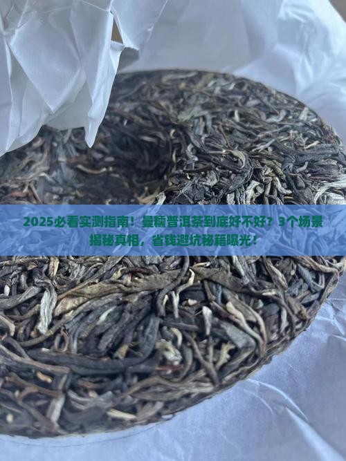 曼糯普洱茶好吗