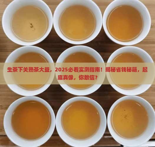 生茶下关熟茶大益