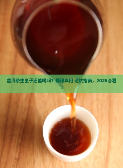 普洱茶生虫子能不能喝