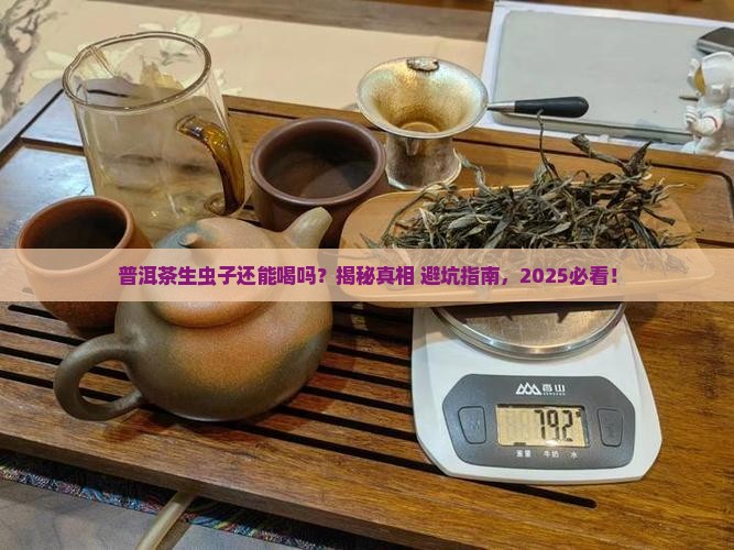 普洱茶生虫子能不能喝