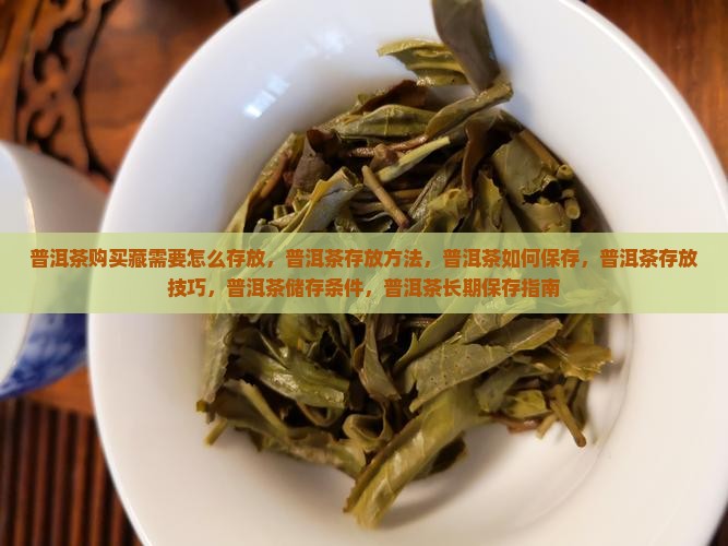 普洱茶购买藏需要怎么存放