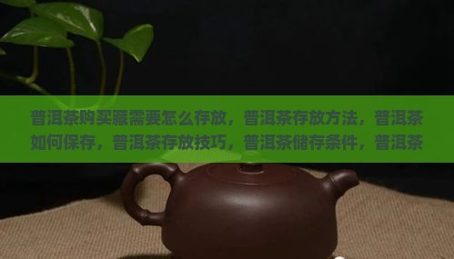 普洱茶购买藏需要怎么存放