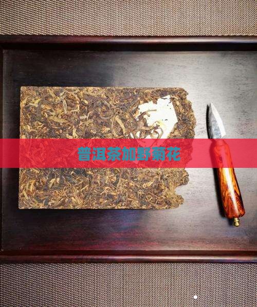 普洱茶加野菊花