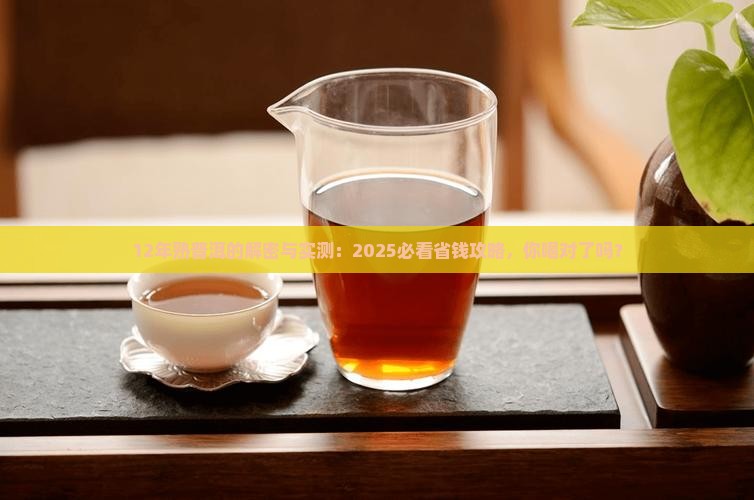 12年的熟普洱