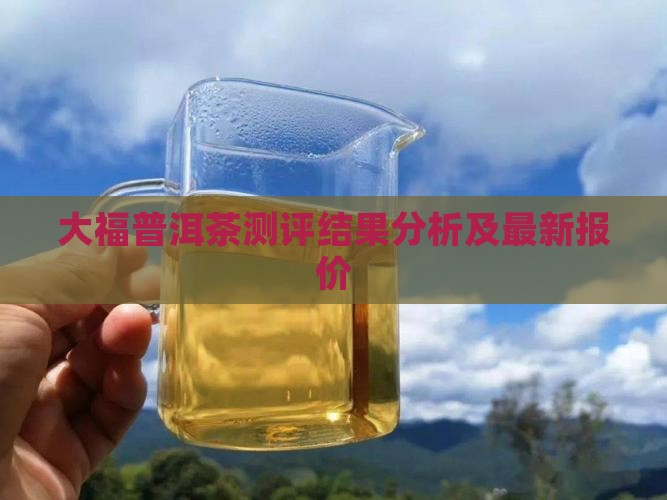 大福普洱茶测评