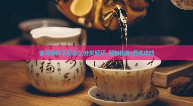 普洱茶好不好怎么分类好坏