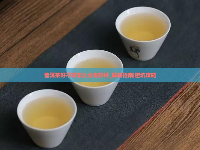 普洱茶好不好怎么分类好坏