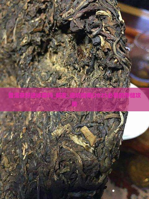 普洱茶好进冰霜吗