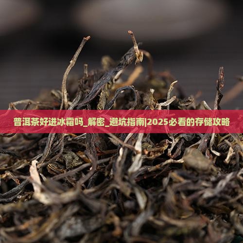 普洱茶好进冰霜吗