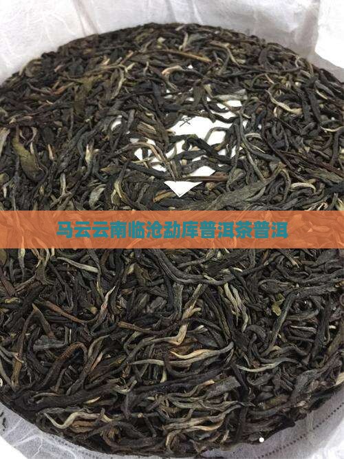 马云云南临沧勐库普洱茶