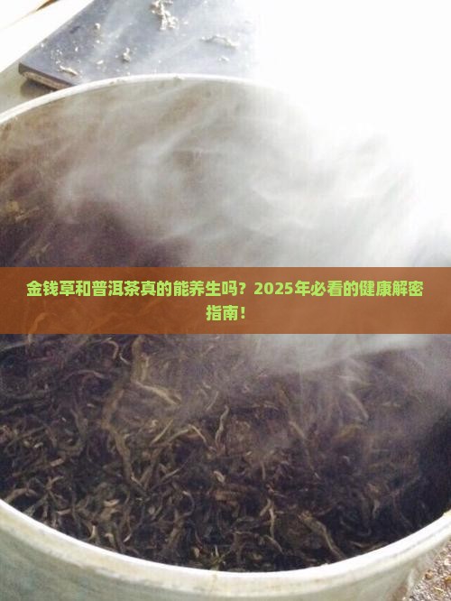 金钱草和普洱茶的功效