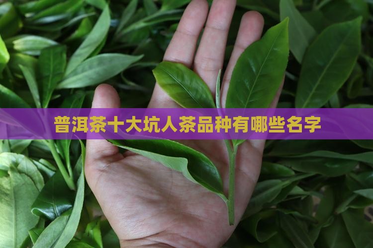普洱茶十大坑人茶品种有哪些