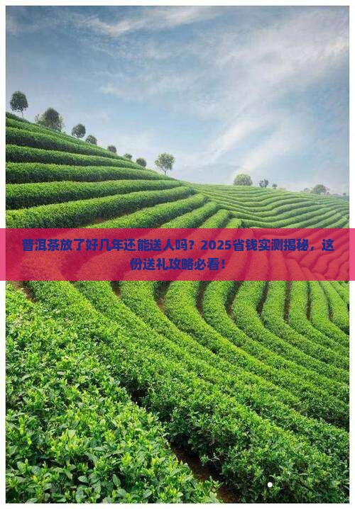普洱茶放了好几年还能送人吗