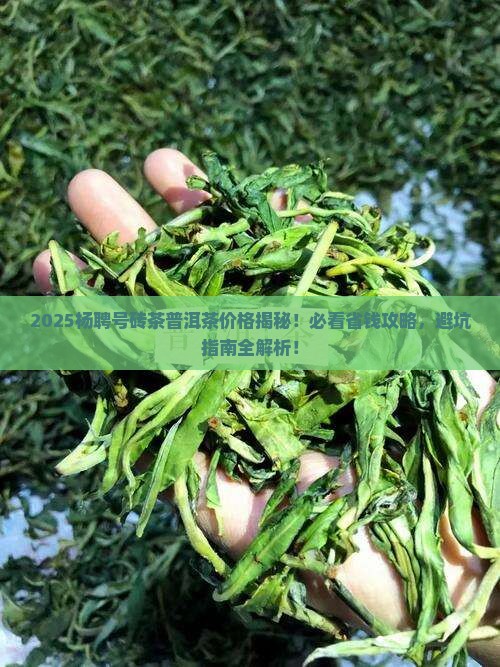 杨聘号砖茶普洱茶价格