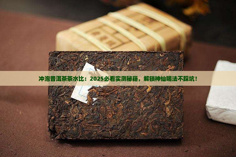冲泡普洱茶的茶水比为