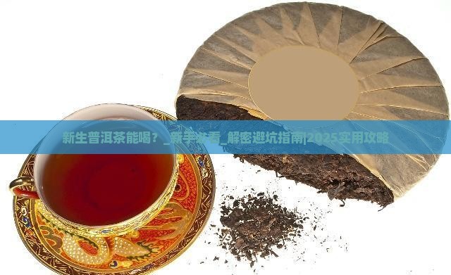 新生普洱茶能喝