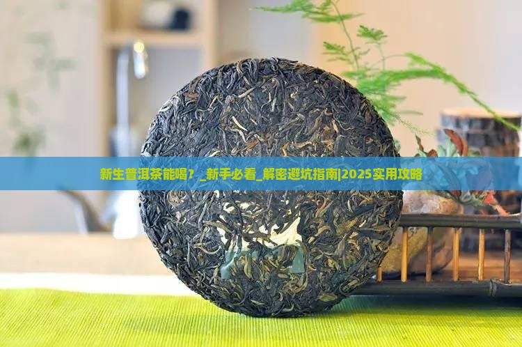 新生普洱茶能喝