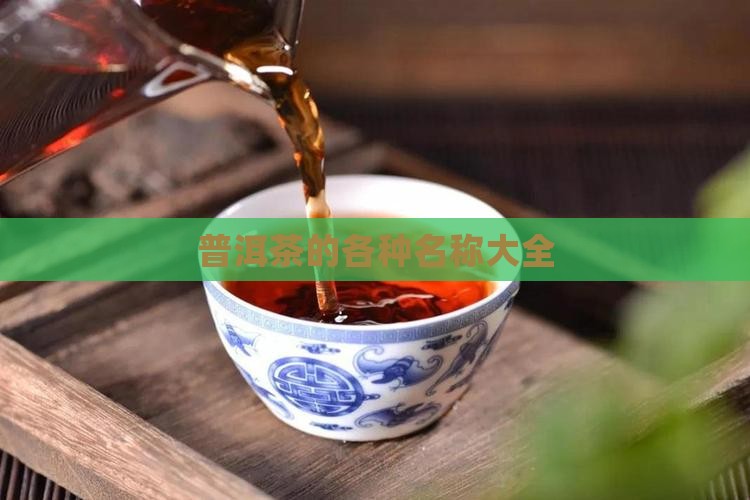 普洱茶的各种名称大全