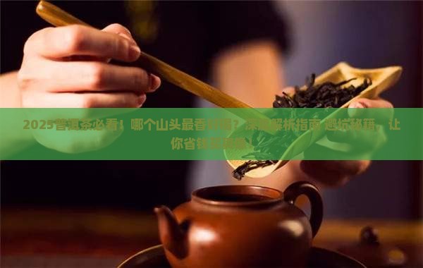 普洱茶哪个山最香好喝的