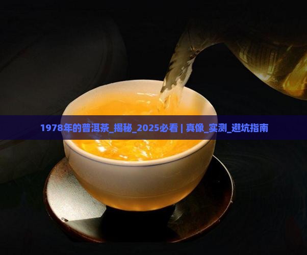 1978年的普洱茶
