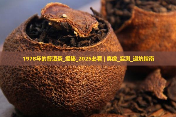 1978年的普洱茶