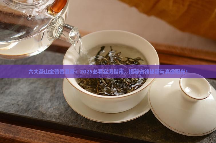 六大茶山金普普洱茶