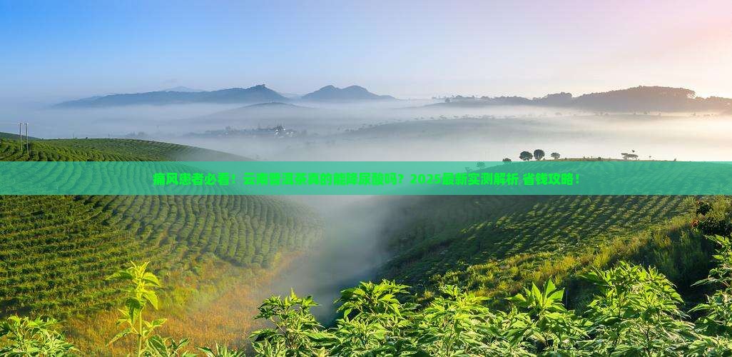 云南普洱茶对痛风有好处吗