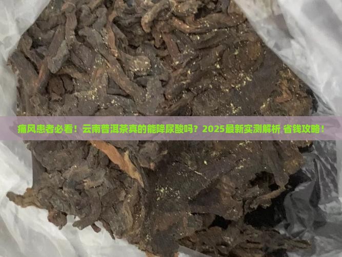 云南普洱茶对痛风有好处吗