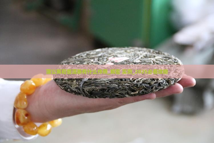 蒲公英和普洱茶有什么作用