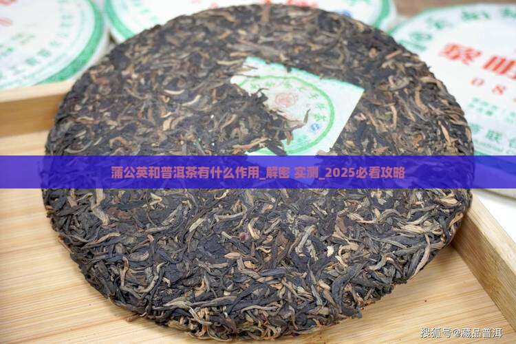 蒲公英和普洱茶有什么作用