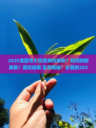 2020龙园号大班章真伪