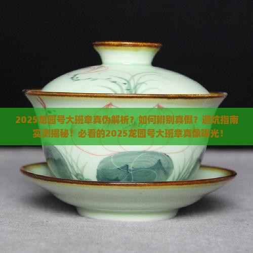 2020龙园号大班章真伪