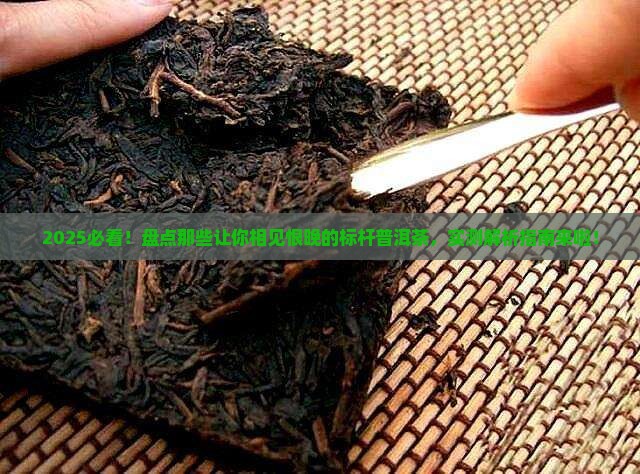 值得购买藏的标杆普洱茶