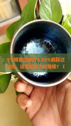 难喝的普洱茶口感描述
