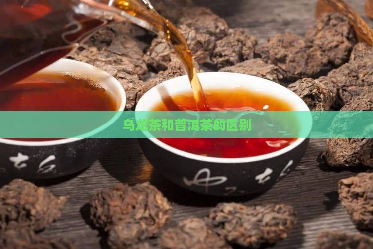 乌龙茶和普洱茶哪个哭
