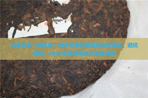 与普洱茶一起成长