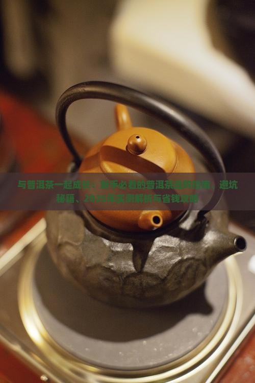 与普洱茶一起成长