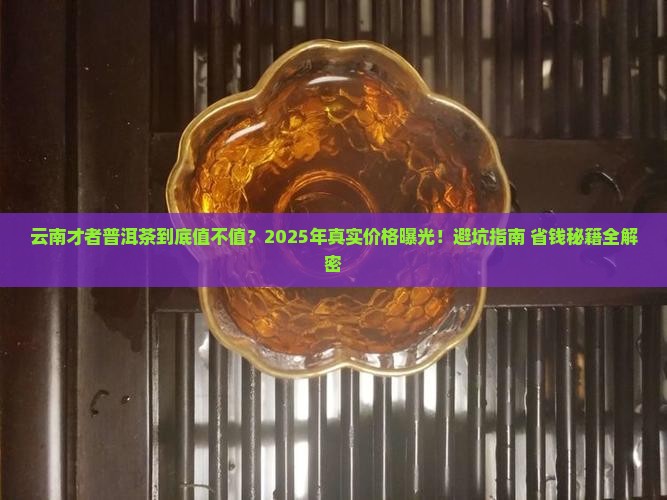 云南才者普洱茶价格