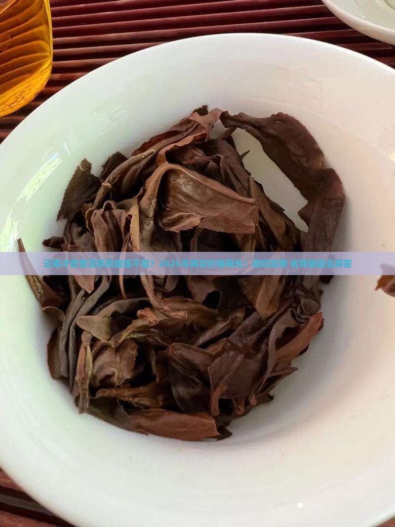云南才者普洱茶价格