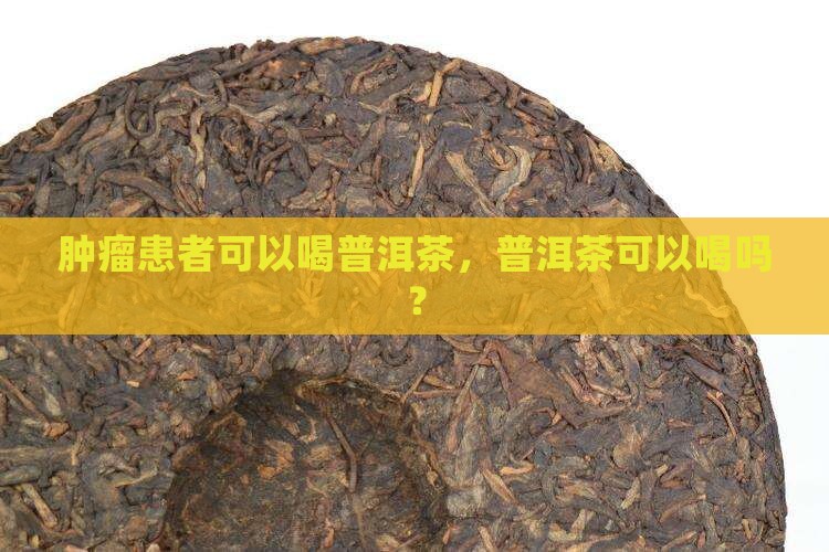 有肿瘤可以喝普洱茶