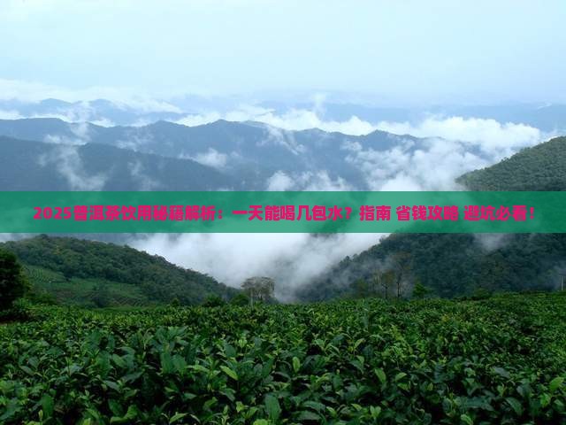 普洱茶一天能喝几包水啊