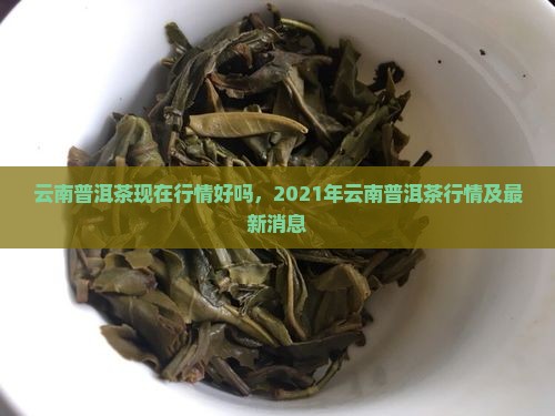 云南普洱茶现在行情好吗