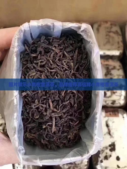 高信牌小青柑普洱茶