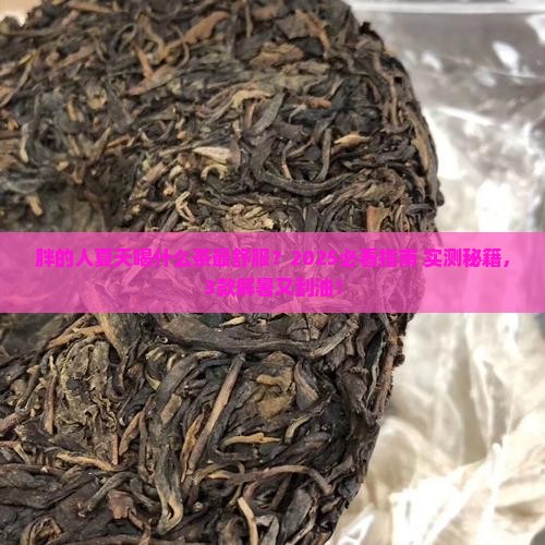 胖的人夏天适合喝什么茶